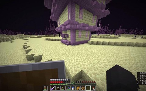 我的世界末地城有什么[图2]