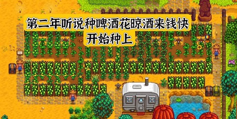 星露谷物语花盆怎么用