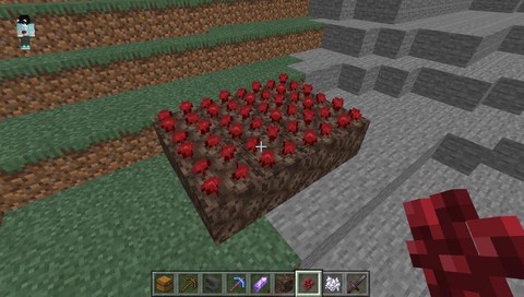 我的世界地狱疣有什么用[图2]