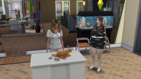 模拟人生4宠物吃什么[图2]