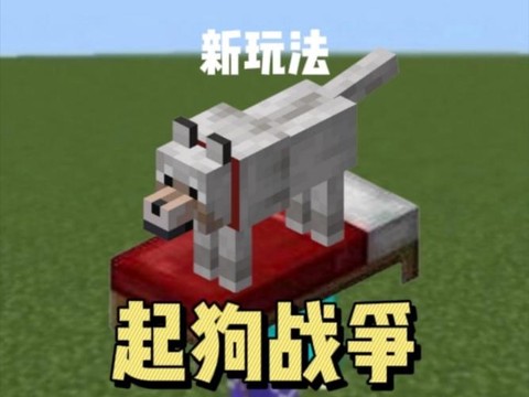 我的世界狗怎么起名字[图2]