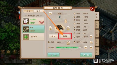 问道手游掠阵是什么[图1]