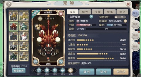 口袋魔域合什么宝宝好[图2]